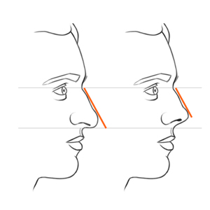 jeff searle drawing the nose