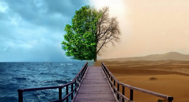 Cuanta Naturaleza Se Ha Destruido En Los Ultimos 20 Anos