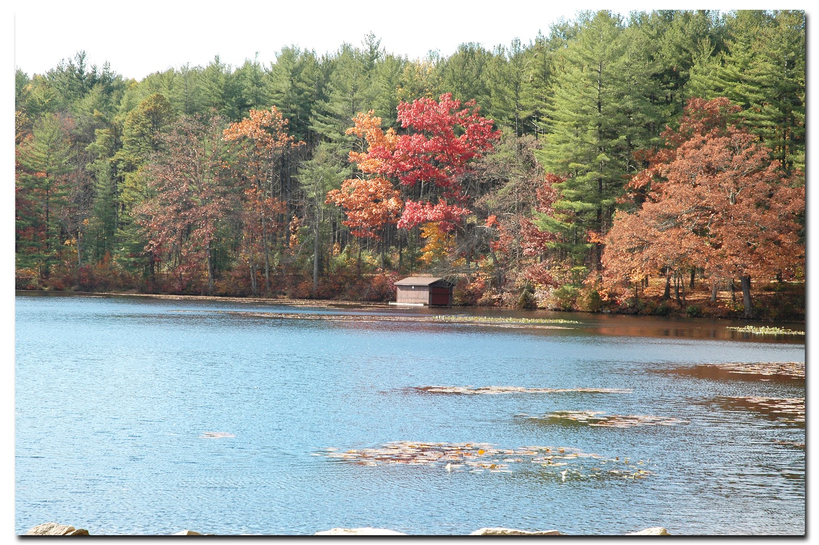 My World in Pennsylvania and Beyond Pine Grove Furnace State Park