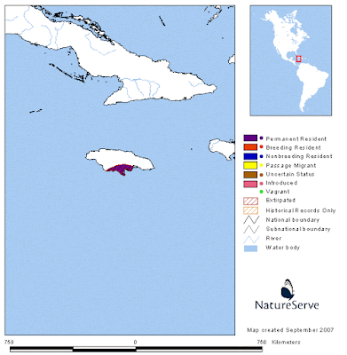 Jamaican Poorwill map