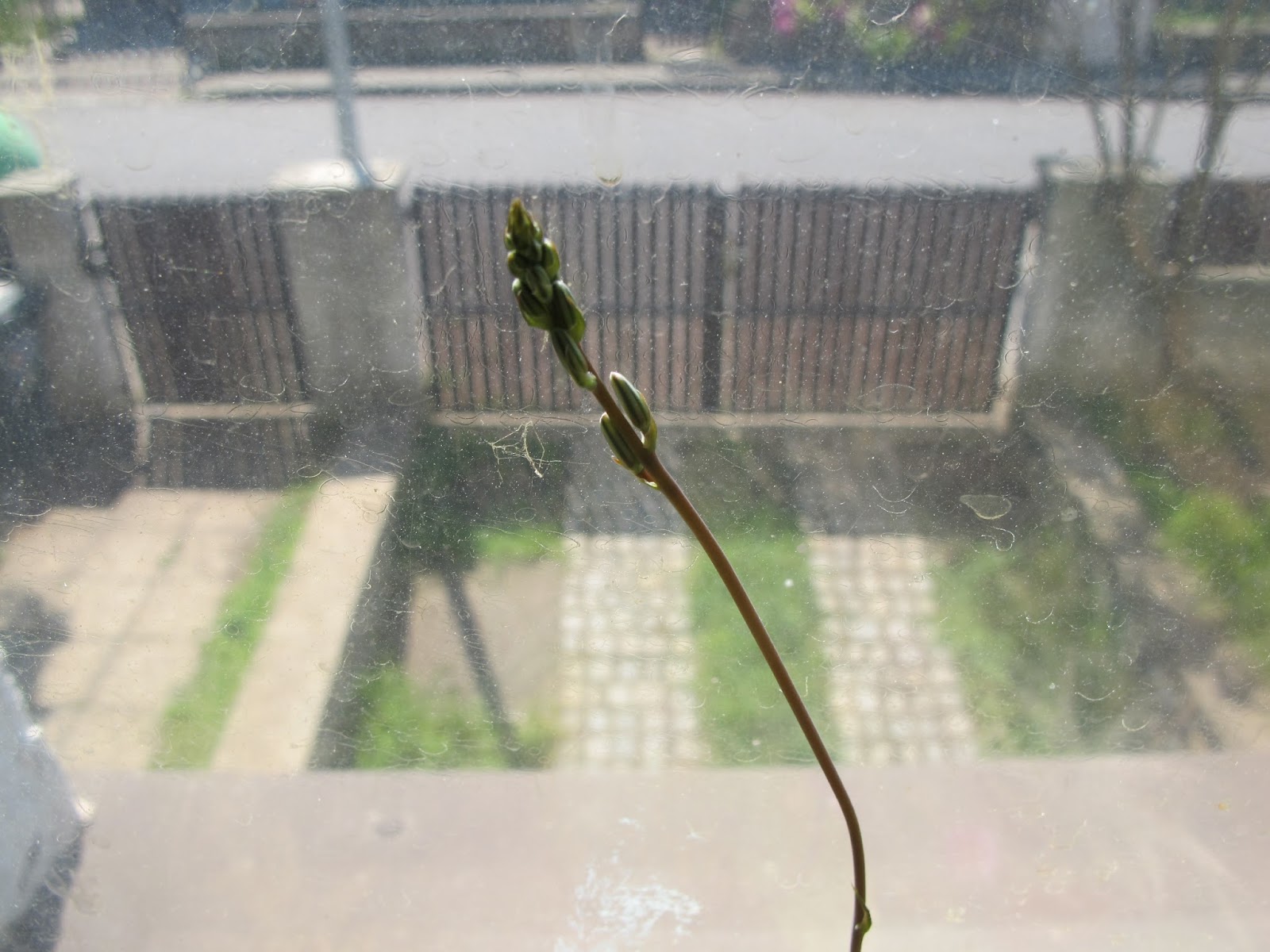 Andelsky Denik Serik