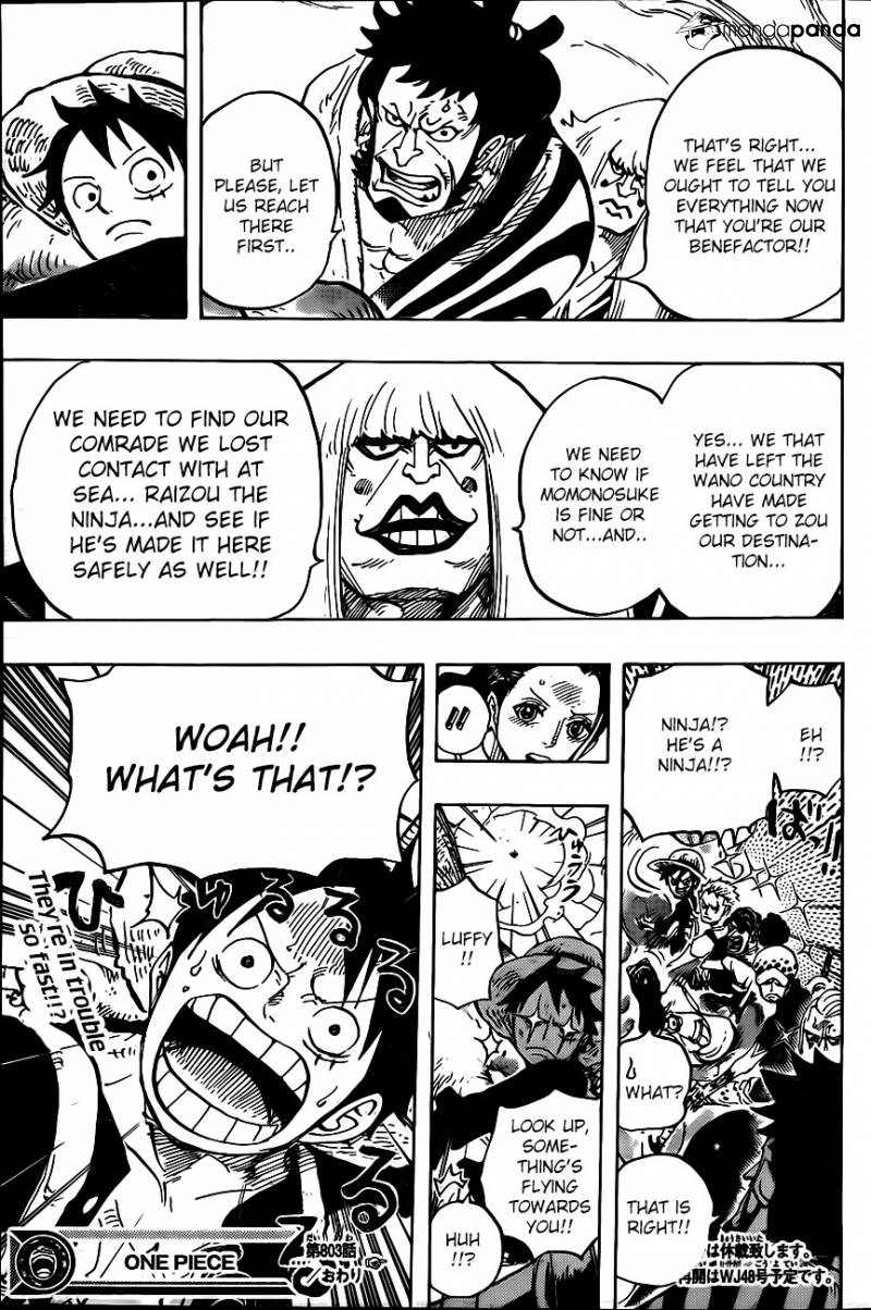 One Piece Ch 803: Climbing the Elephant