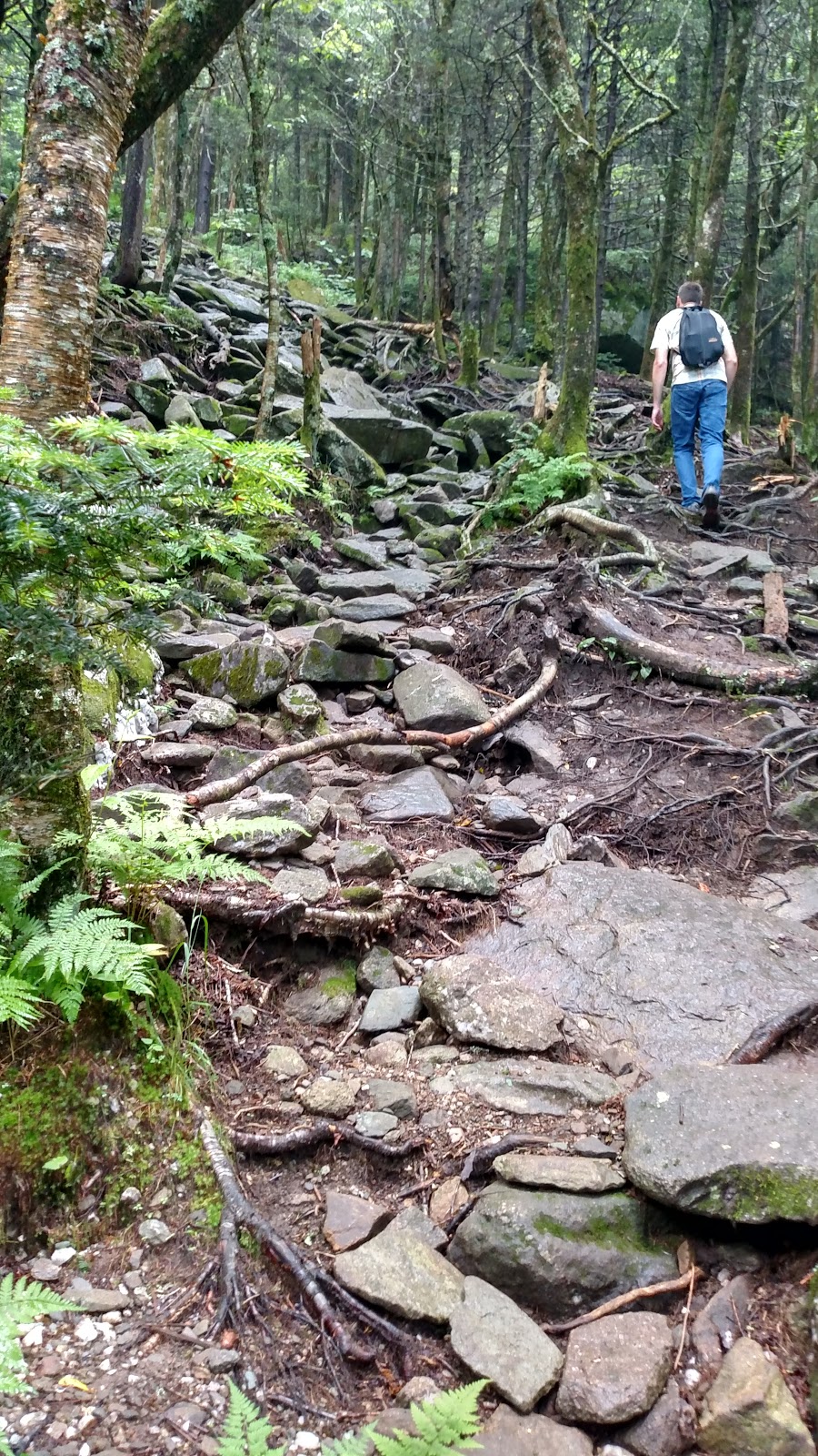 NC Waterfall Hikes Profile Trail to Grandfather Mountain