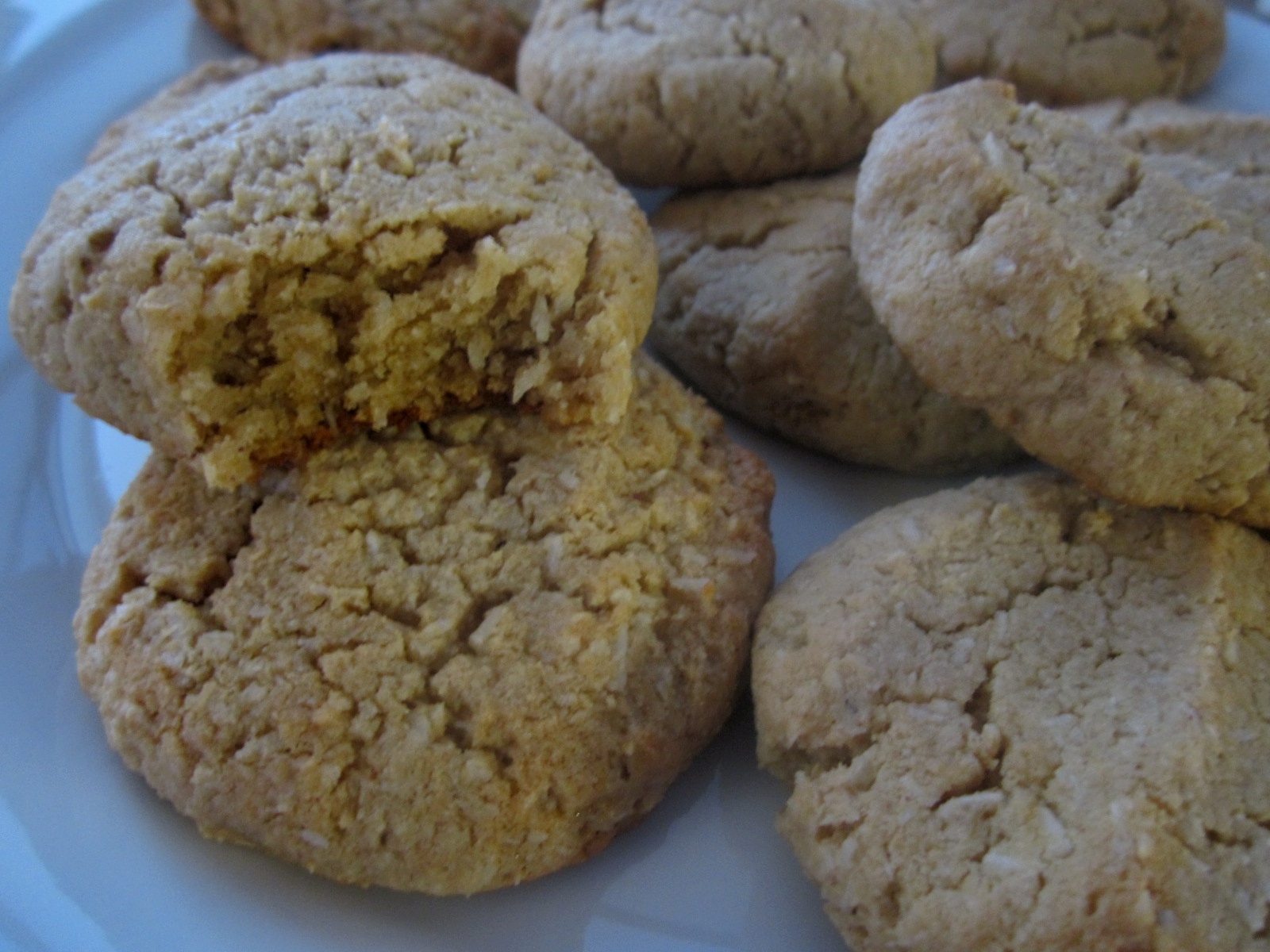 Family Bites to Savor Paleo Nut Butter Cookies