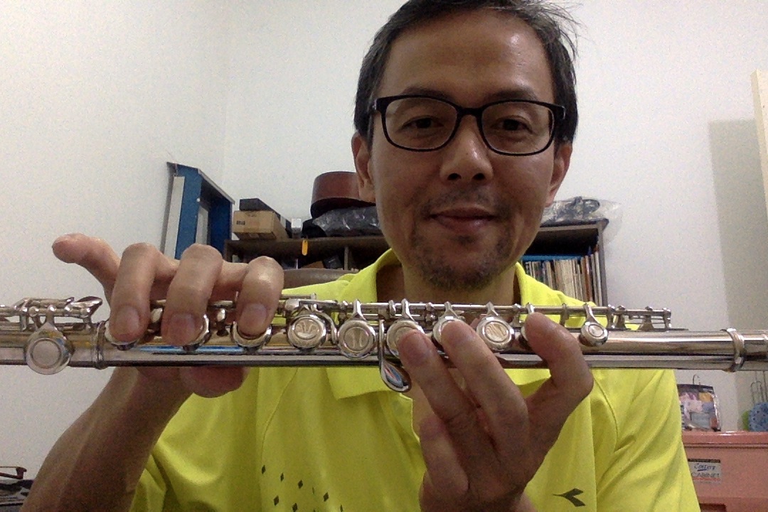 Comparing Recorders 4. Comparing recorder vs flute Home keys