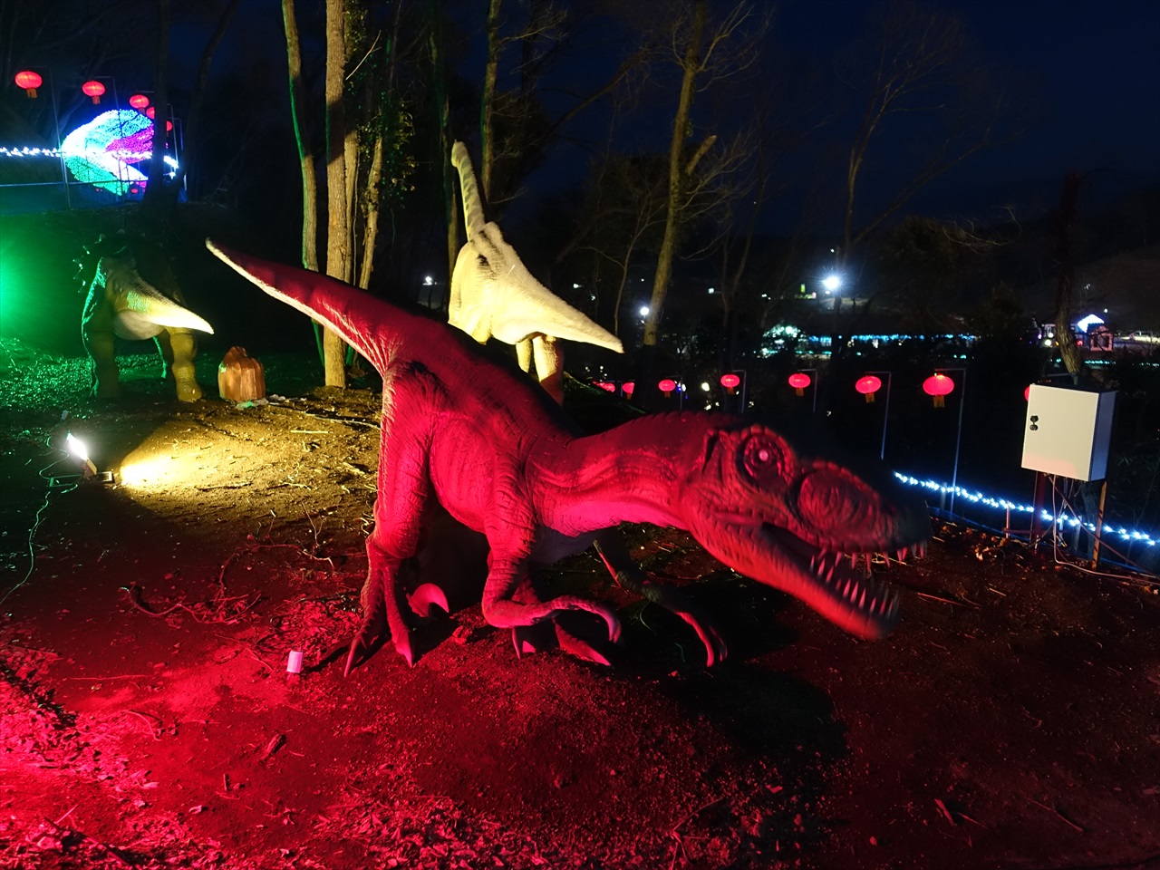 東京ドイツ村チャイナランタンフェスティバル