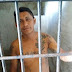 Foragido do sistema penal é recapturado em Terra Alta