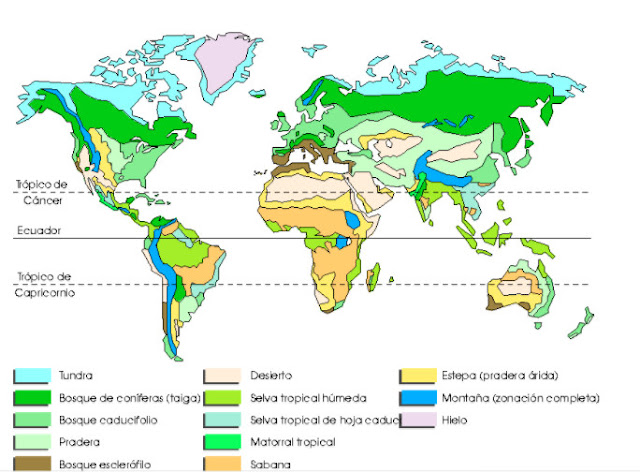 Biomas del mundo