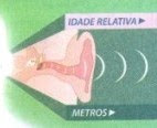 Conectando Ideias com a Matemática - Aplicações das funções