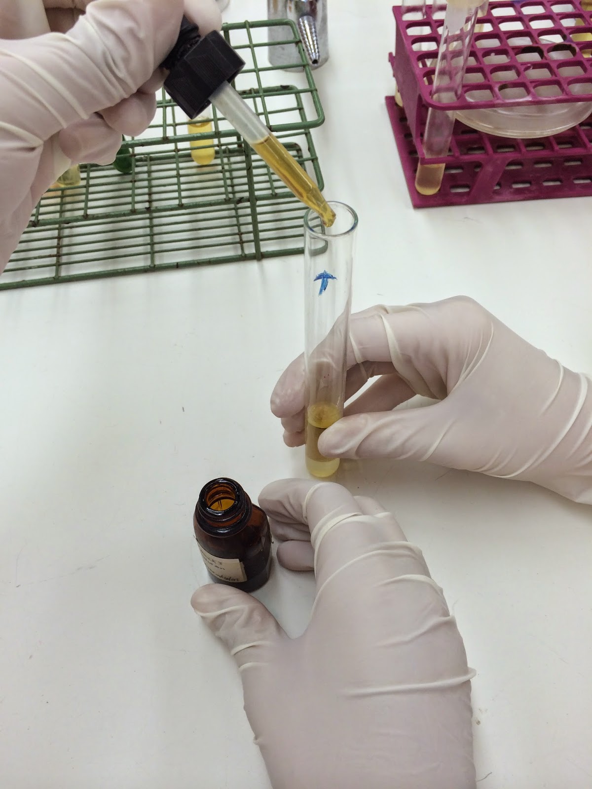 Getting Bacteria Samples