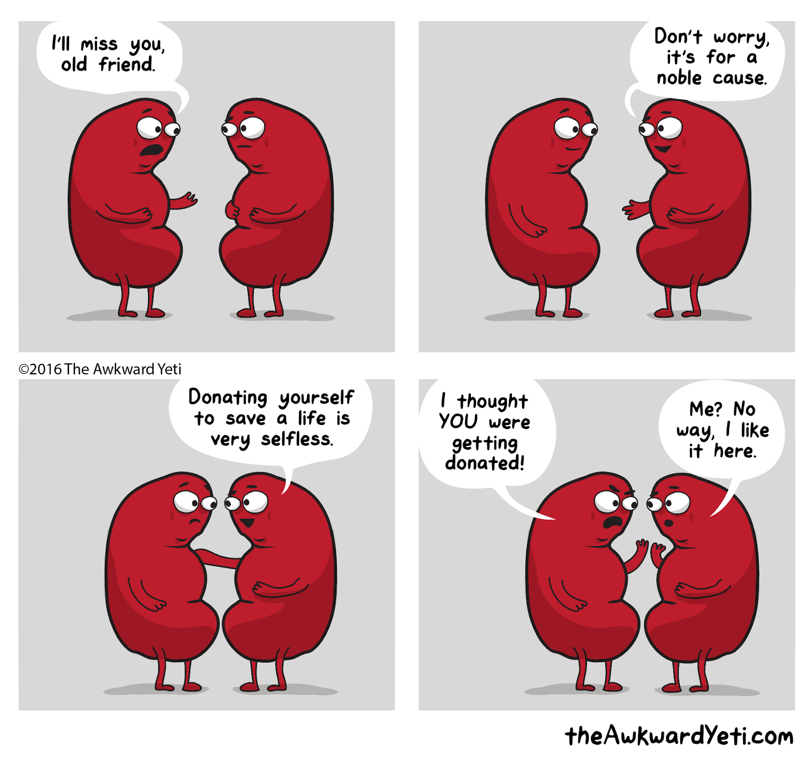 My success at being a Living Kidney Donor Awkward Yeti Joke!