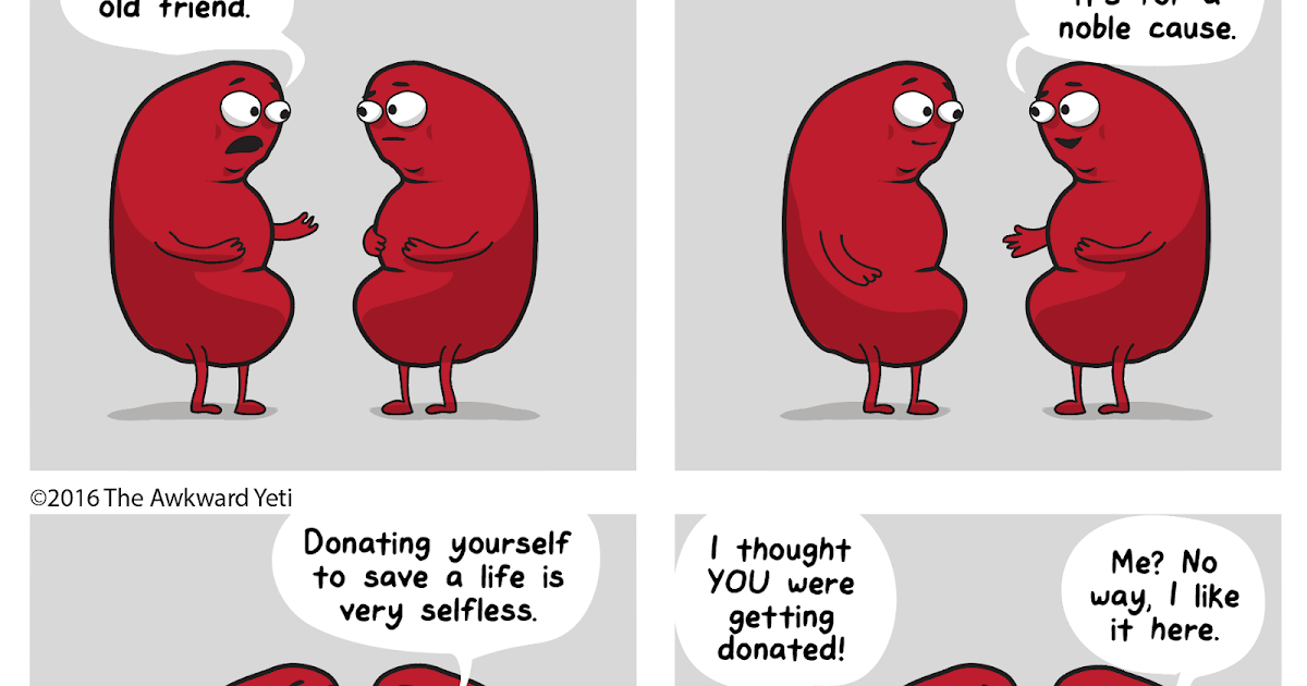My success at being a Living Kidney Donor Awkward Yeti Joke!