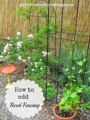 DIY reed fence