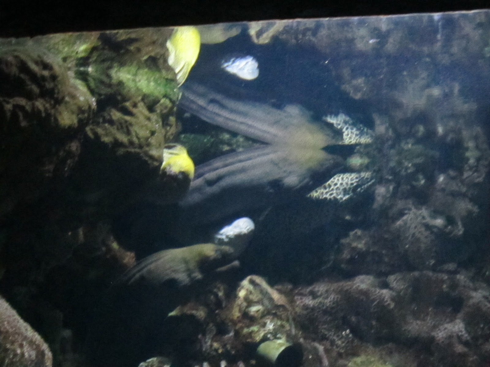 Libur Sekolah 4 Hari di Jakarta Recall