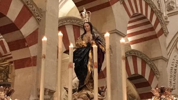 Los jóvenes de Córdoba volverán a orar ante la Inmaculada Concepción Los jóvenes de Córdoba volverán a orar ante la Inmaculada Concepción