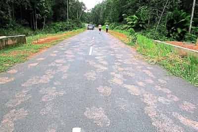JOHOR AMAZING STORIES : The Sightings Of Bigfoot at Endau Johor