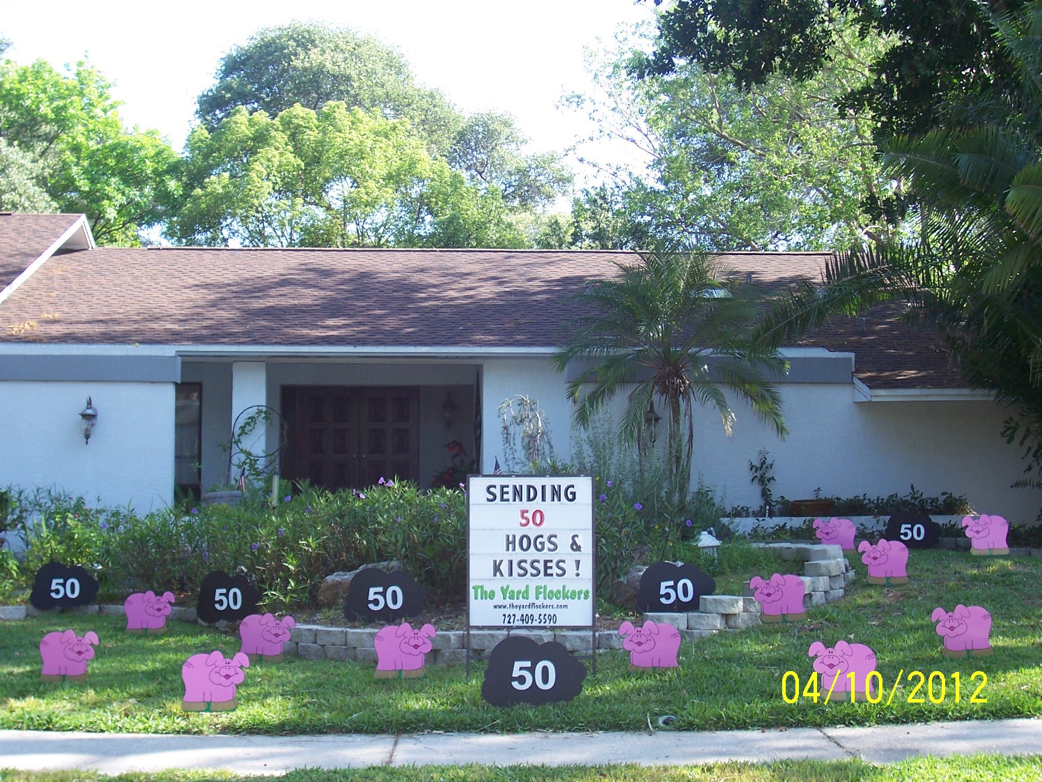 *THE YARD FLOCKERS* Pinellas County, Fla 7274095590 WWW