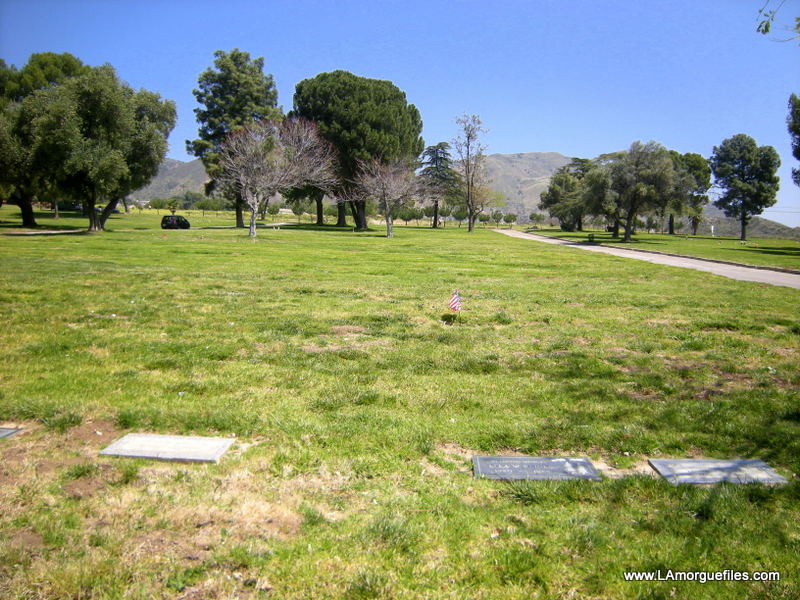 Los Angeles Files "Phantom Lady" Actress Ella Raines 1988 Glen