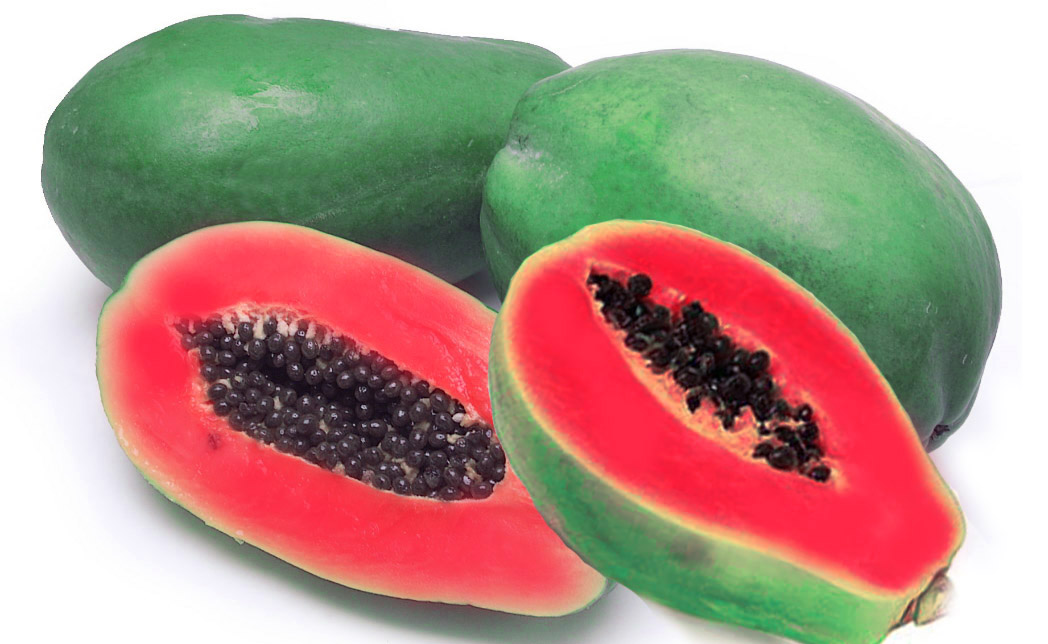 Kandungan dan Manfaat Buah Pepaya untuk Kesehatan Kandungan dan Manfaat Buah Pepaya untuk Kesehatan