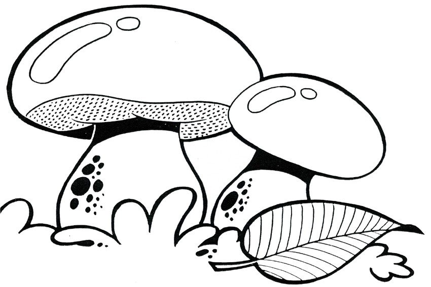50 desenhos, moldes e riscos de cogumelo para colorir, pintar, imprimir!  Muitos desenhos de cogumelos! - ESPAÇO EDUCAR DESENHOS PINTAR COLORIR  IMPRIMIR