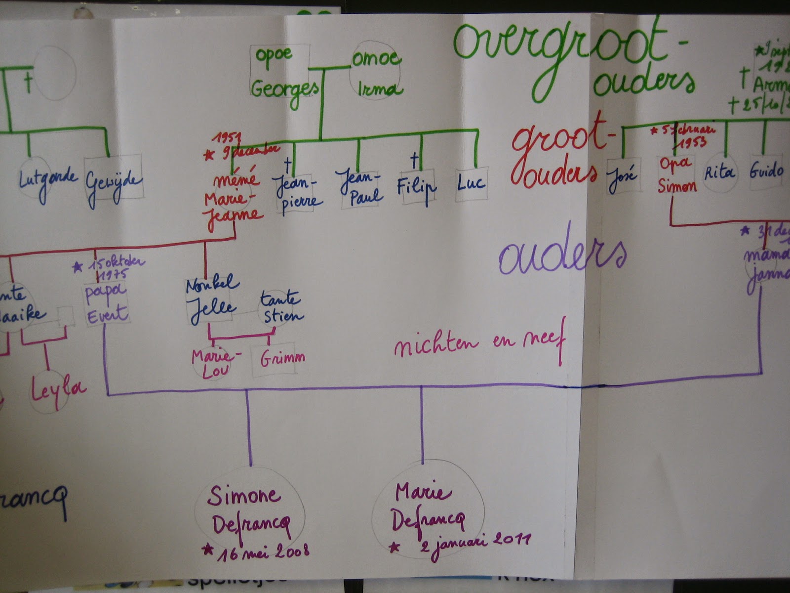 klas Lies: Een stamboom maken