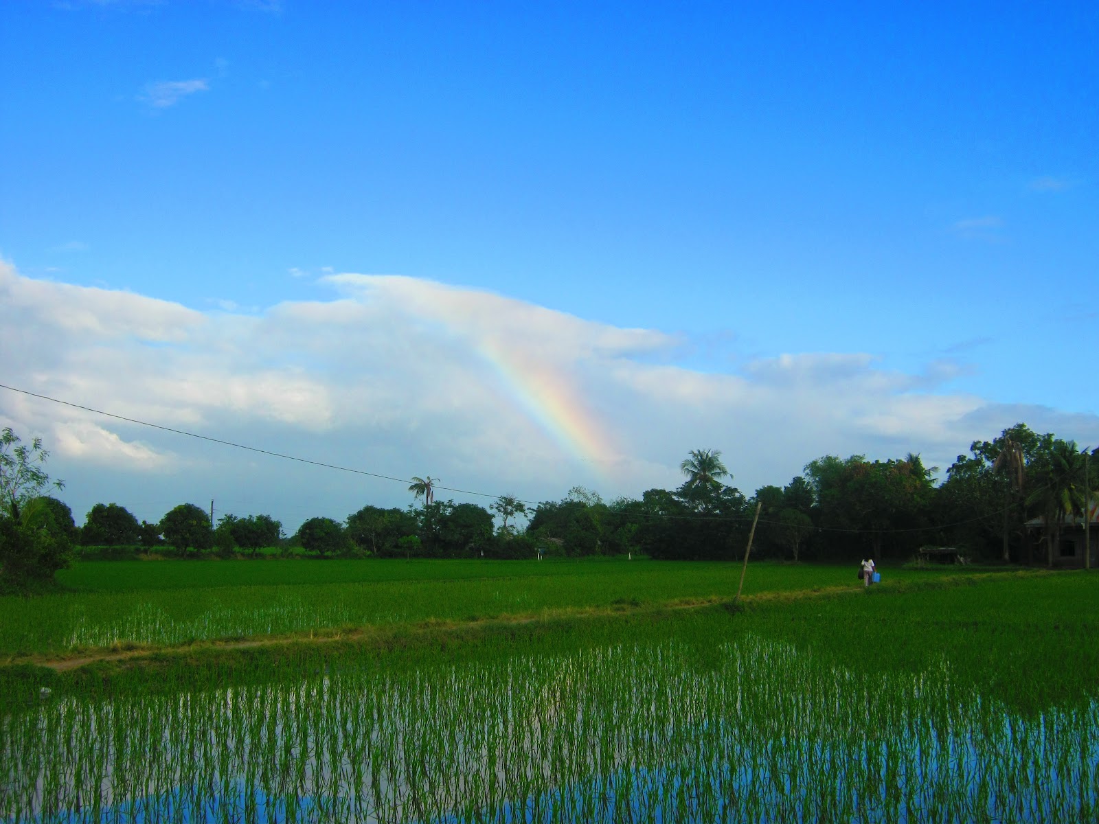 Still in Brouhaha Nueva Ecija Rice Bowl of the Philippines