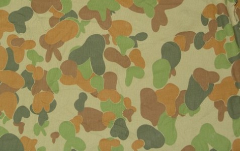 Phase Line 'Birnam Wood': Thoughts and Notes on Foreign Military Camouflage