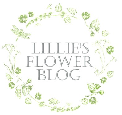LILLIE'S FLOWER JOURNAL