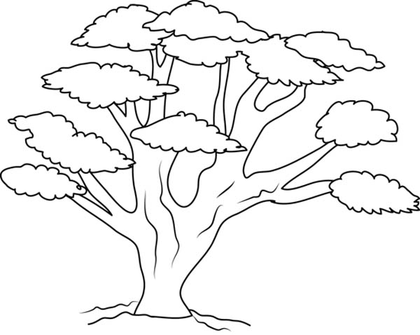 thankful tree coloring pages - photo #6