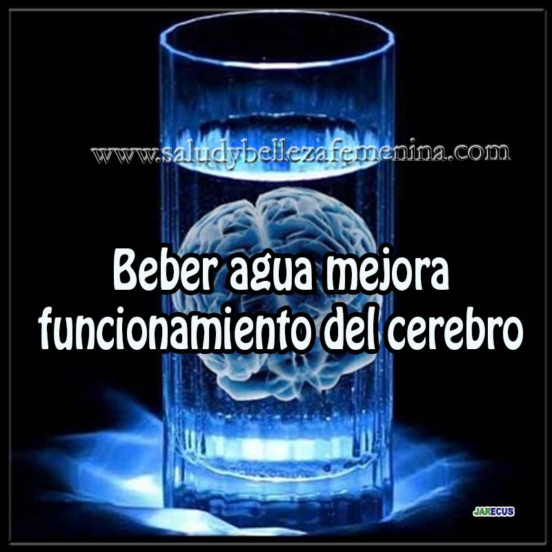 Beber agua mejora funcionamiento del cerebro Salud y bienestar , salud y bienestar en cuerpo y mente, agua, cerebro