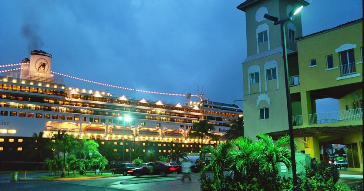 Flowers LA ZONA LIBRE