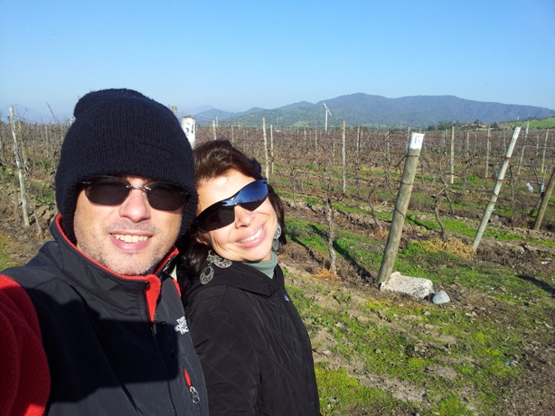 passeando pelas parreiras da vinícola Casas del Bosque, Chile passeando pelas parreiras da vinícola Casas del Bosque, Chile