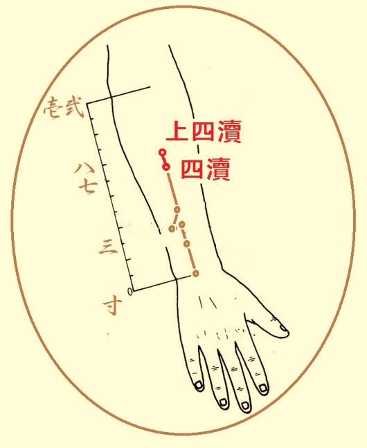 常滑市の鍼灸専門治療院《竹内はり灸院》 四瀆(しとく)というツボ