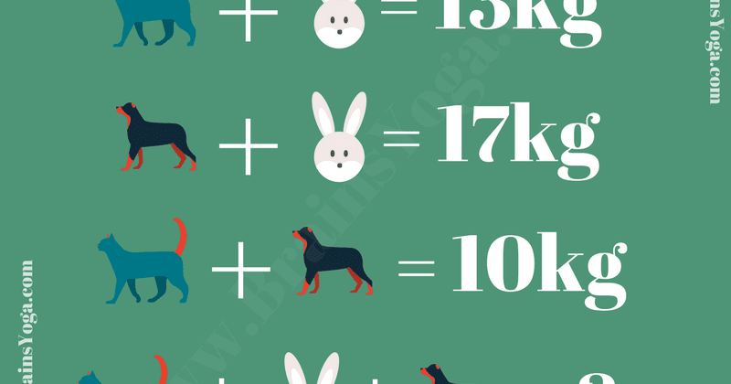 Mathematical Brain Teaser with Answer