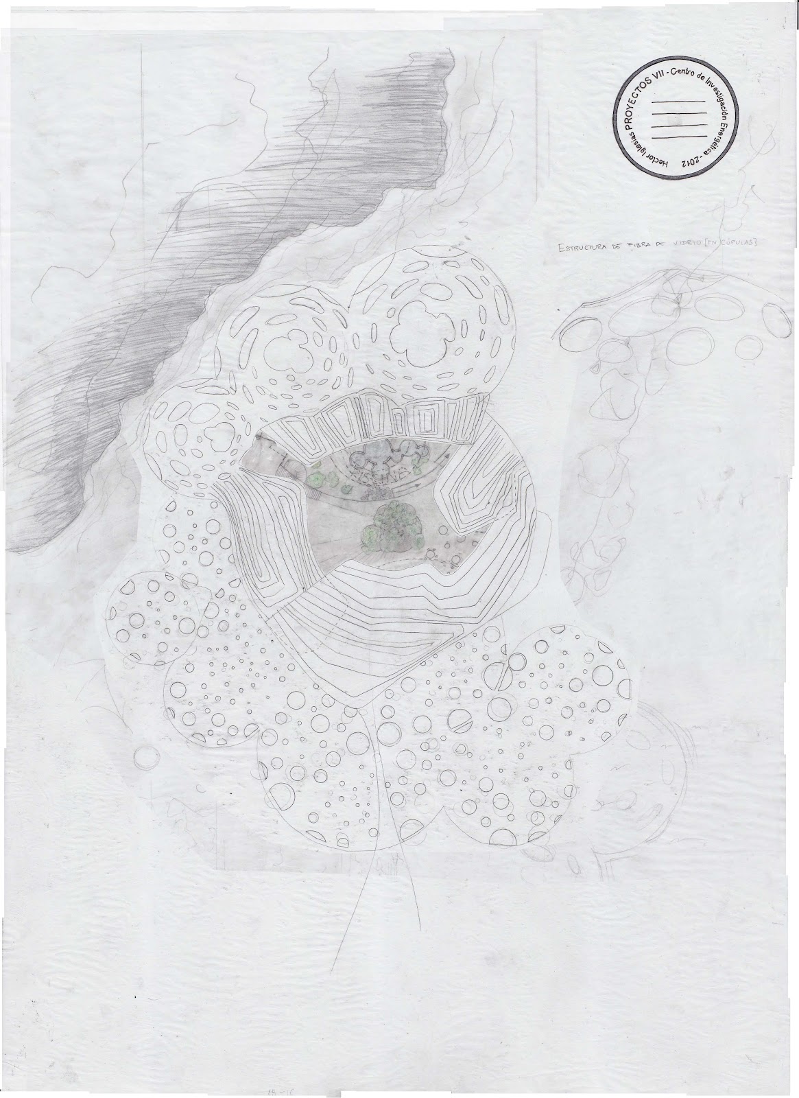 Proyectos 7