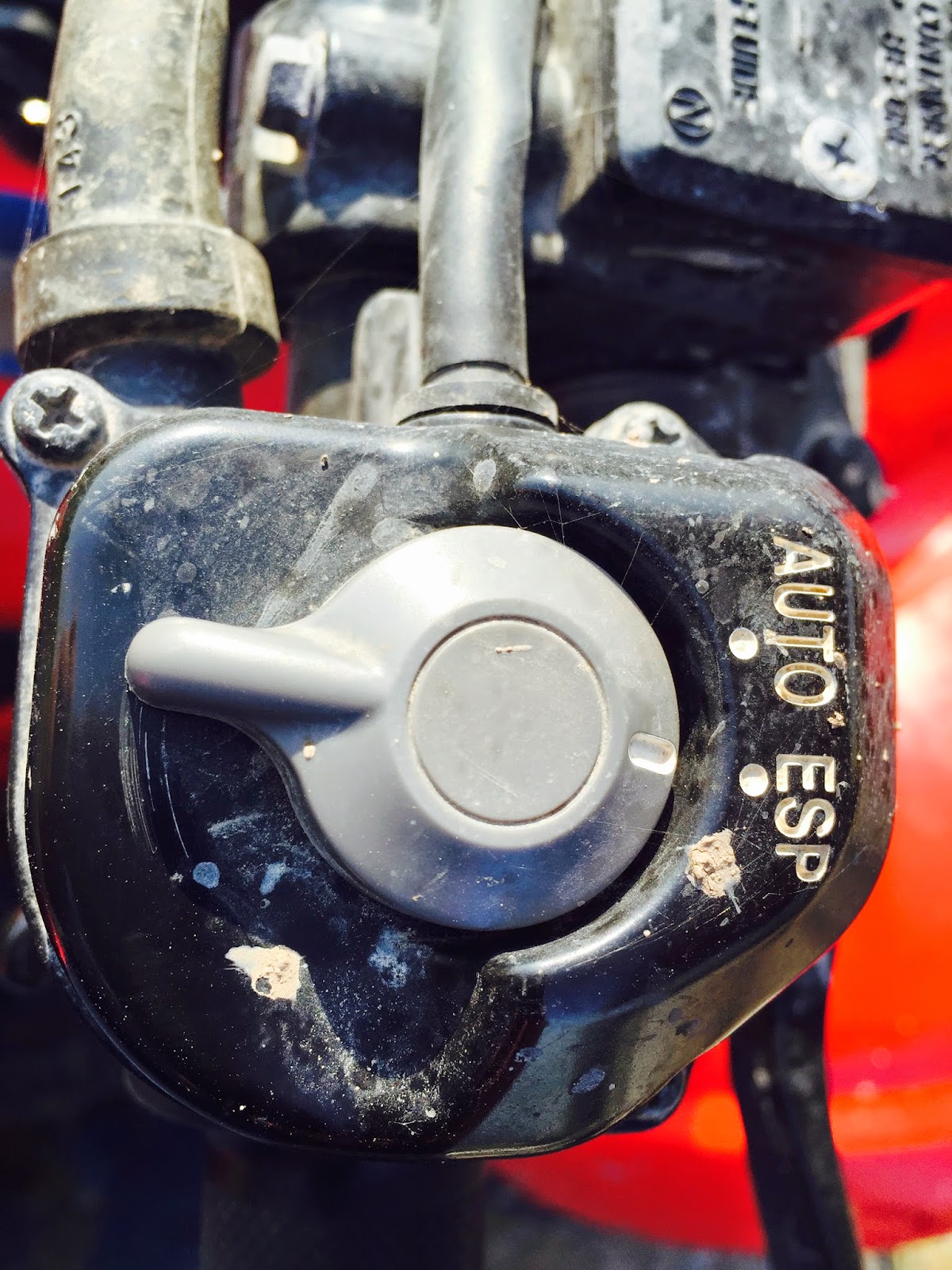 Texas Border Tours: 2013 Honda Rancher Review