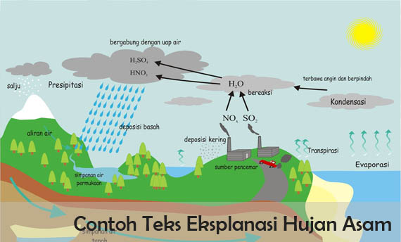 5 Contoh Teks Eksplanasi Hujan Asam beserta Strukturnya 5 Contoh Teks Eksplanasi Hujan Asam beserta Strukturnya