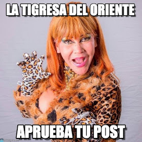 Memes De La Tigresa Del Oriente Chistes Y Memes