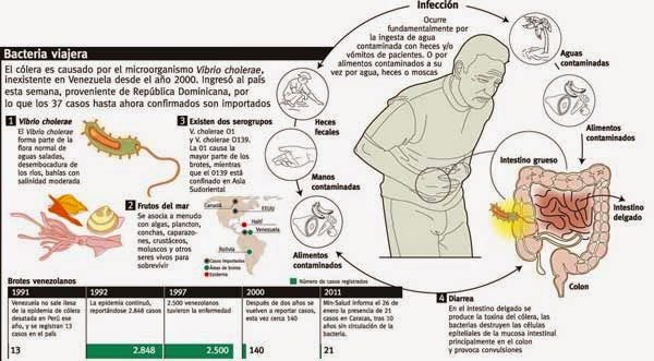 Sintomas eliminacion de toxinas