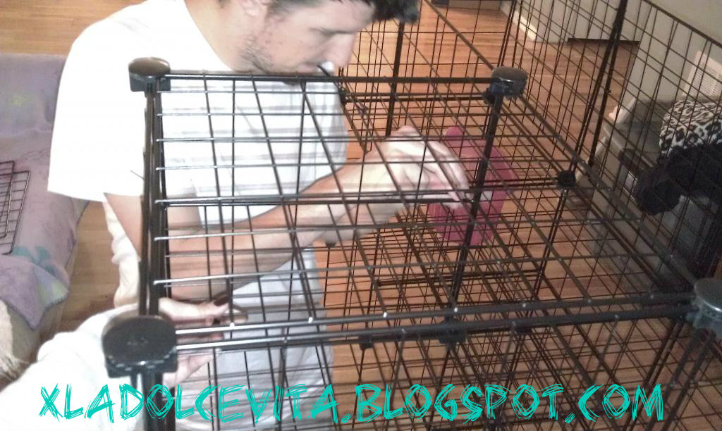 Creative Imagination C&C Cage