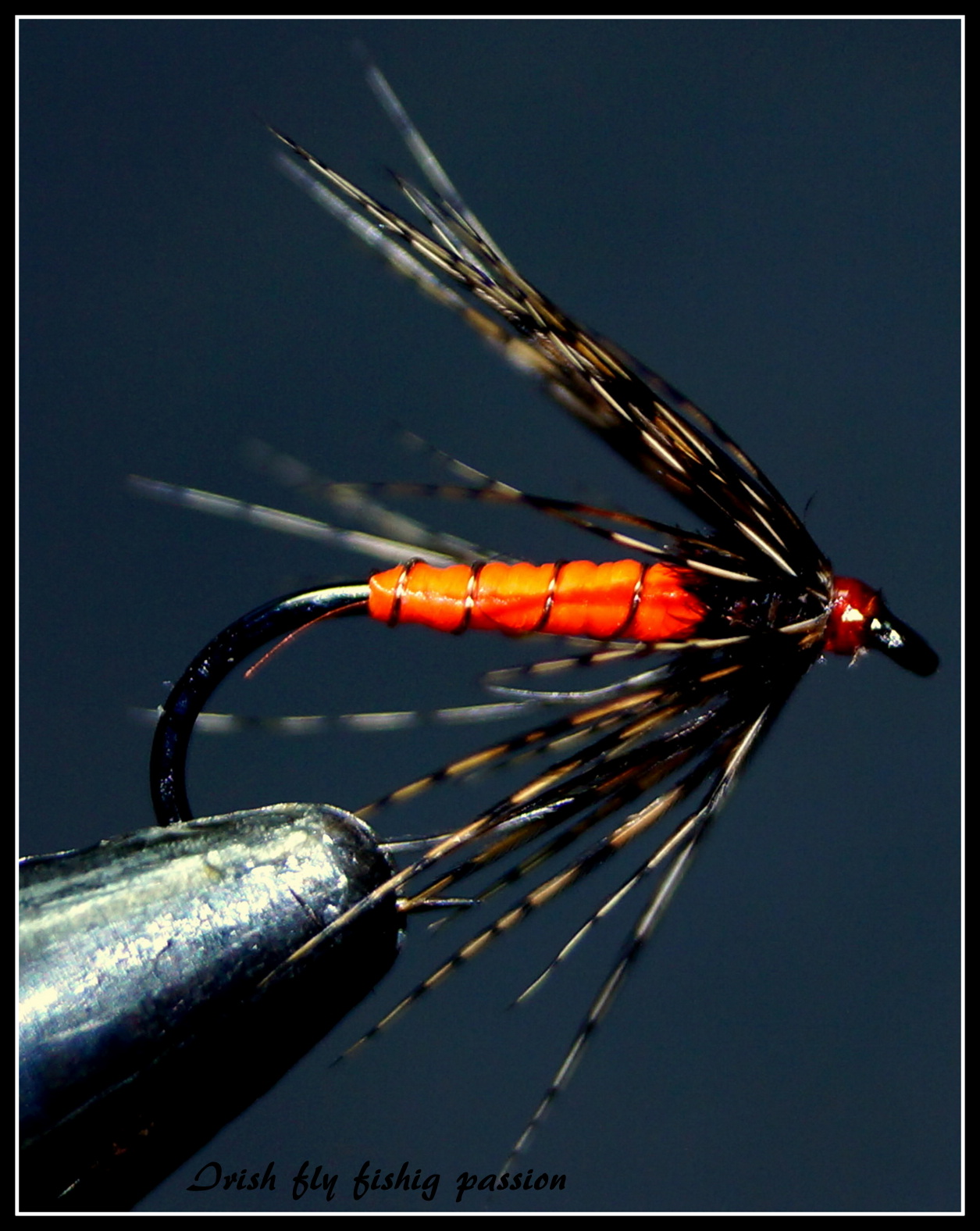 Fly s505. P fly. P fly. P 7th single album blue. мушка виллиган на трубке.