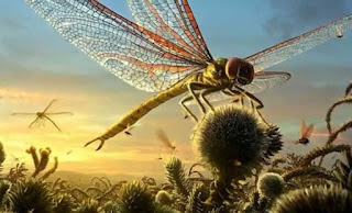 Meganeuropsis Permiana Meganeuropsis Permiana