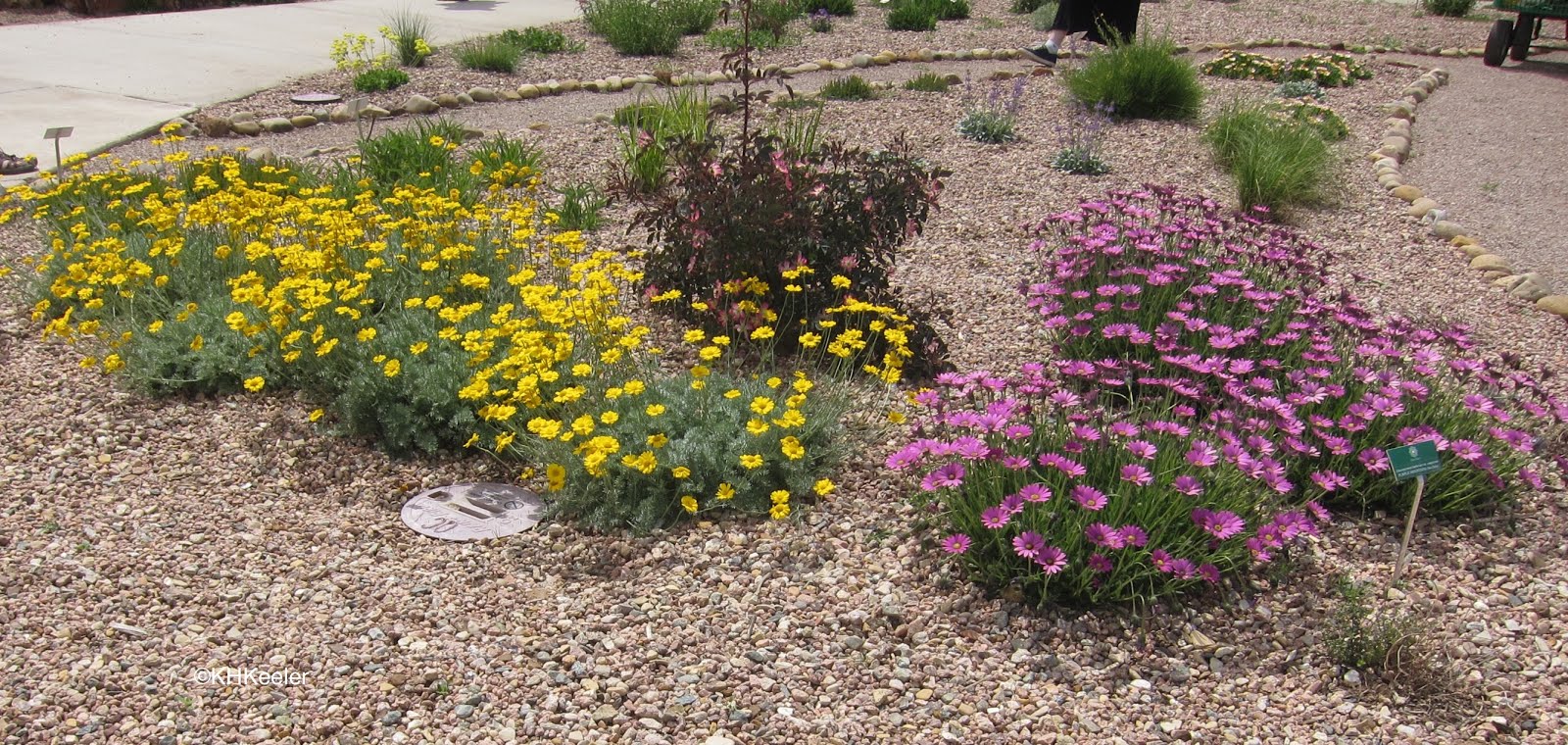 A Wandering Botanist: Garden Bloggers Fling 2019--Loveland and Fort Collins