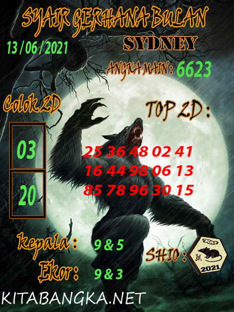 gambar togel sydney