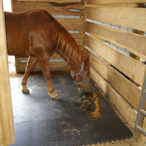 Greatmats Specialty Flooring Mats And Tiles Best Portable Horse Mats