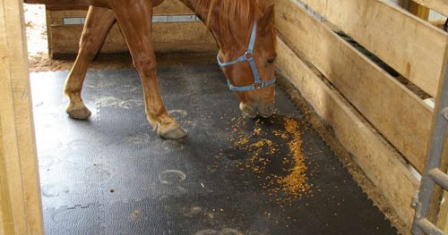 Greatmats Specialty Flooring Mats And Tiles Best Portable Horse Mats