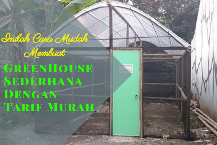 Green House Sederhana Dan Murah