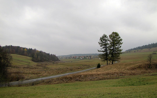Widok w stronę wsi Jasionka.