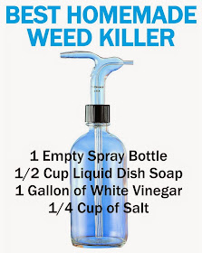 The Best Homemade Weed Killer