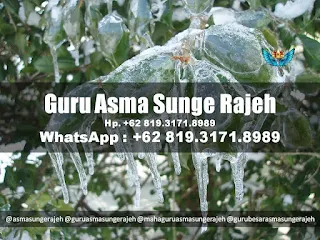 asma-sunge-rajeh-pamungkas